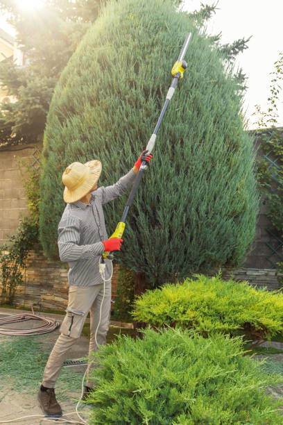 Best Storm Damage Tree Cleanup  in Otsego, MN